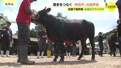 金属製 牛に乗る人物像 金属製 牛に乗る人物像 水牛少年