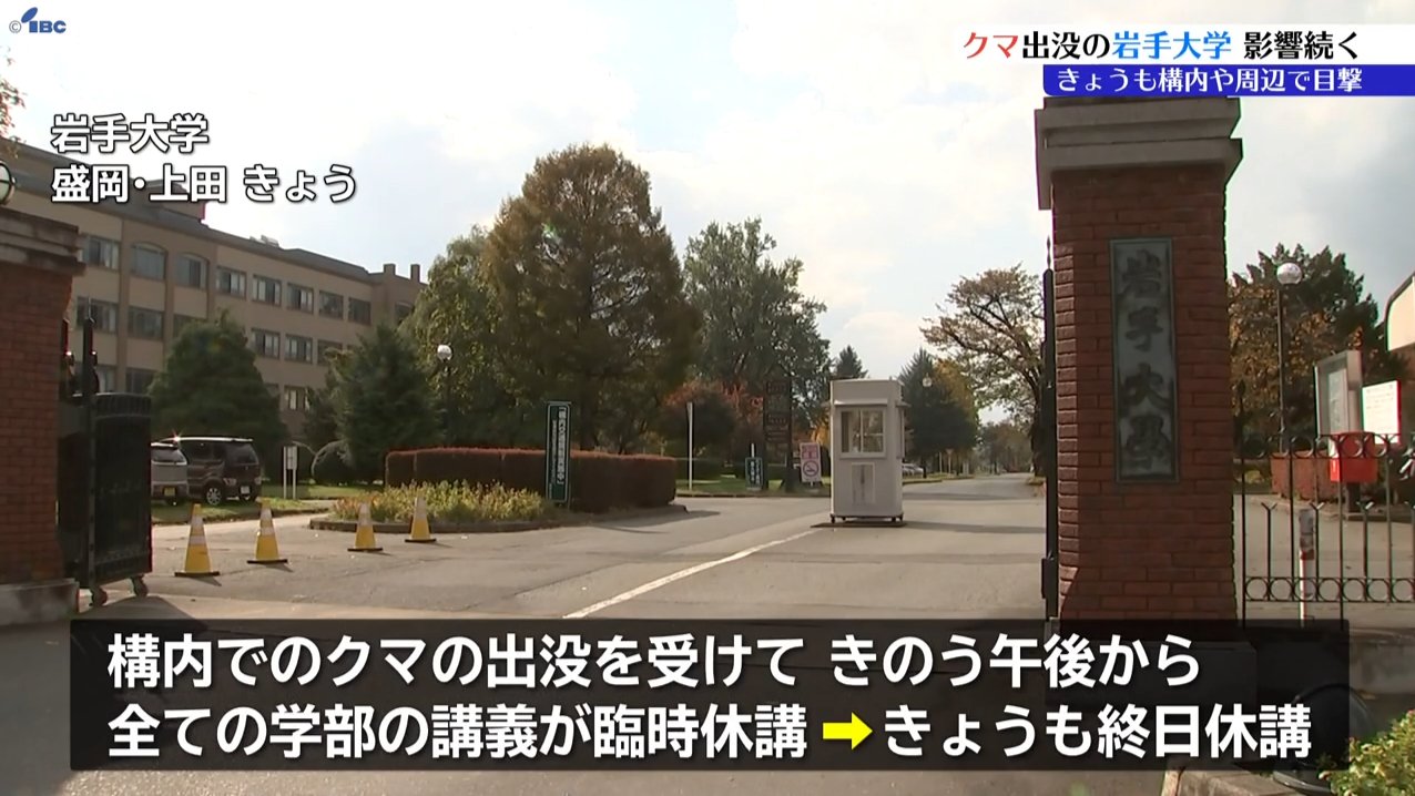 岩手 大学 休講