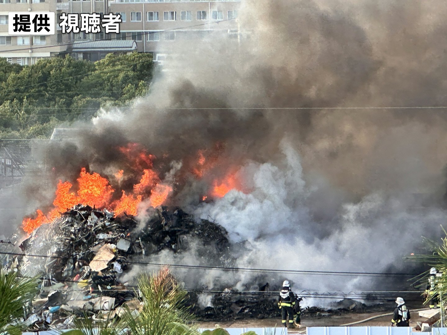 公の場での発言・インタビュー報道記録