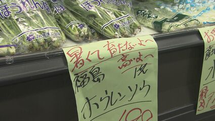 暑くて育たないよ～」猛暑の影響 野菜の高値続く 福島 | 福島の