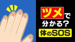 “爪切りの頻度” が減ったら体からのSOS…？ 飲酒や喫煙など生活習慣も原因に　指先の数ミリの成長が示す「体調の履歴書」メカニズムは？|TBS NEWS DIG