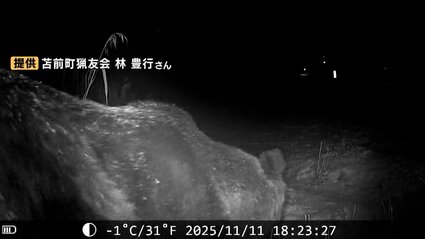 クマクマ img_137f9339a63bd2320a013b12b2