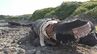 海岸に中国製の巨大ホース漂着 長さ約150メートルで重さ推定300トン 海底の土砂を取り除く浚渫用のパイプか 石川・志賀町|TBS NEWS DIG