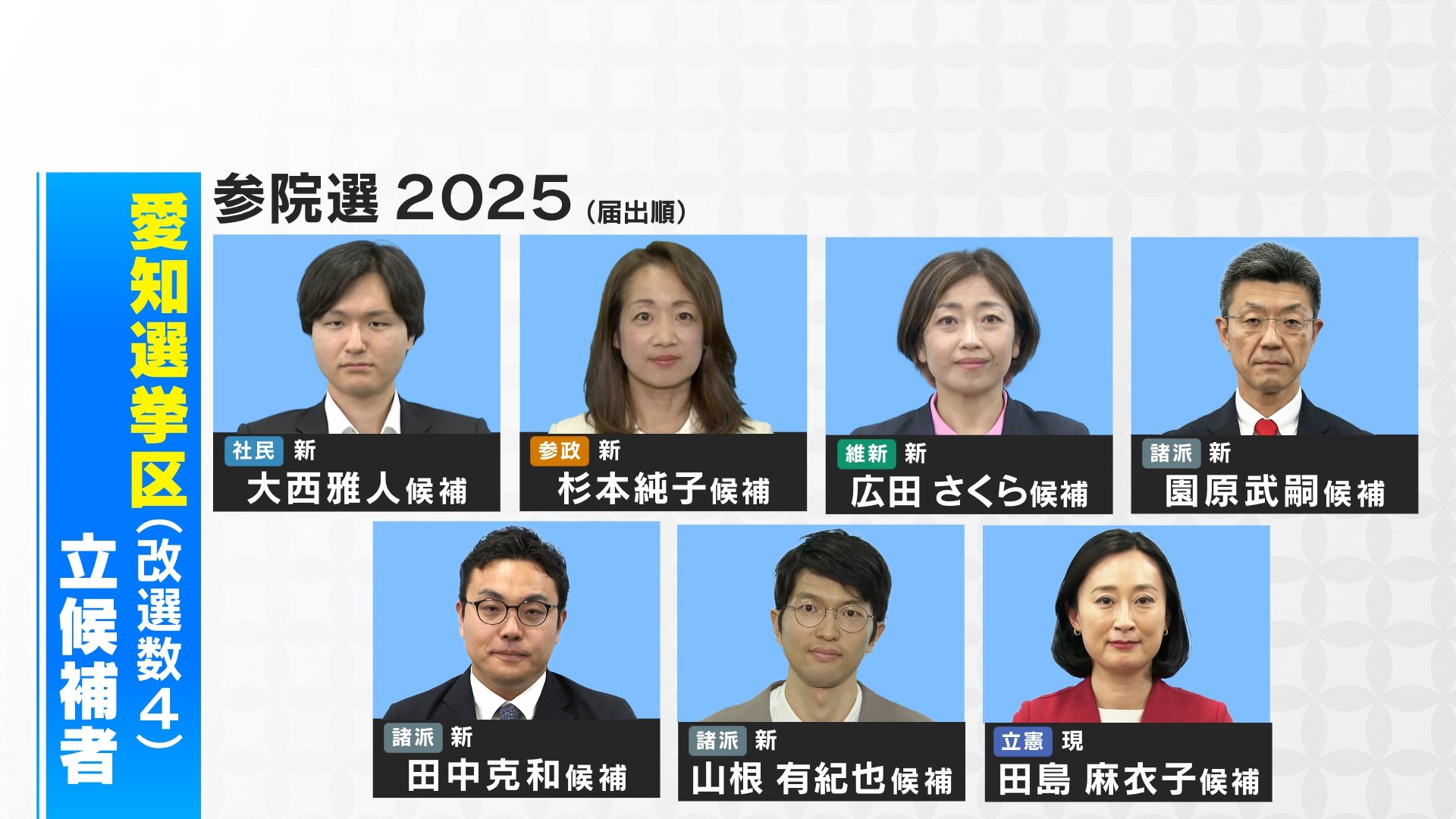 愛知 参議院 選挙