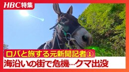「素朴にロバがいる生活っていいな…」ロバと元新聞記者がめぐる全国旅①北海道の海洋深層水を釜で煮立てて塩作り　熊出没で相棒のクサツネに迫る危機も|TBS NEWS DIG