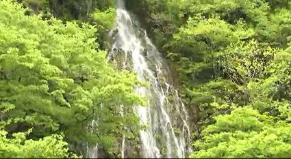 滝画像あり】年に1度しか見られない！！【幻の滝】信州・木島平村「樽