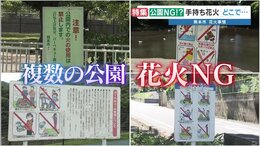 【みんな困ってない？】「手持ち花火」できる場所は？公園・河川敷は原則禁止　手続きで可能な“意外な場所”とは|TBS NEWS DIG
