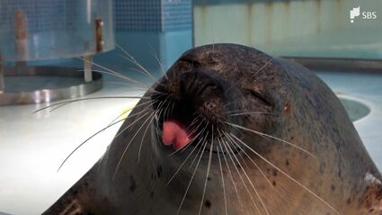 img_15c81d26f838d560da79b901c2