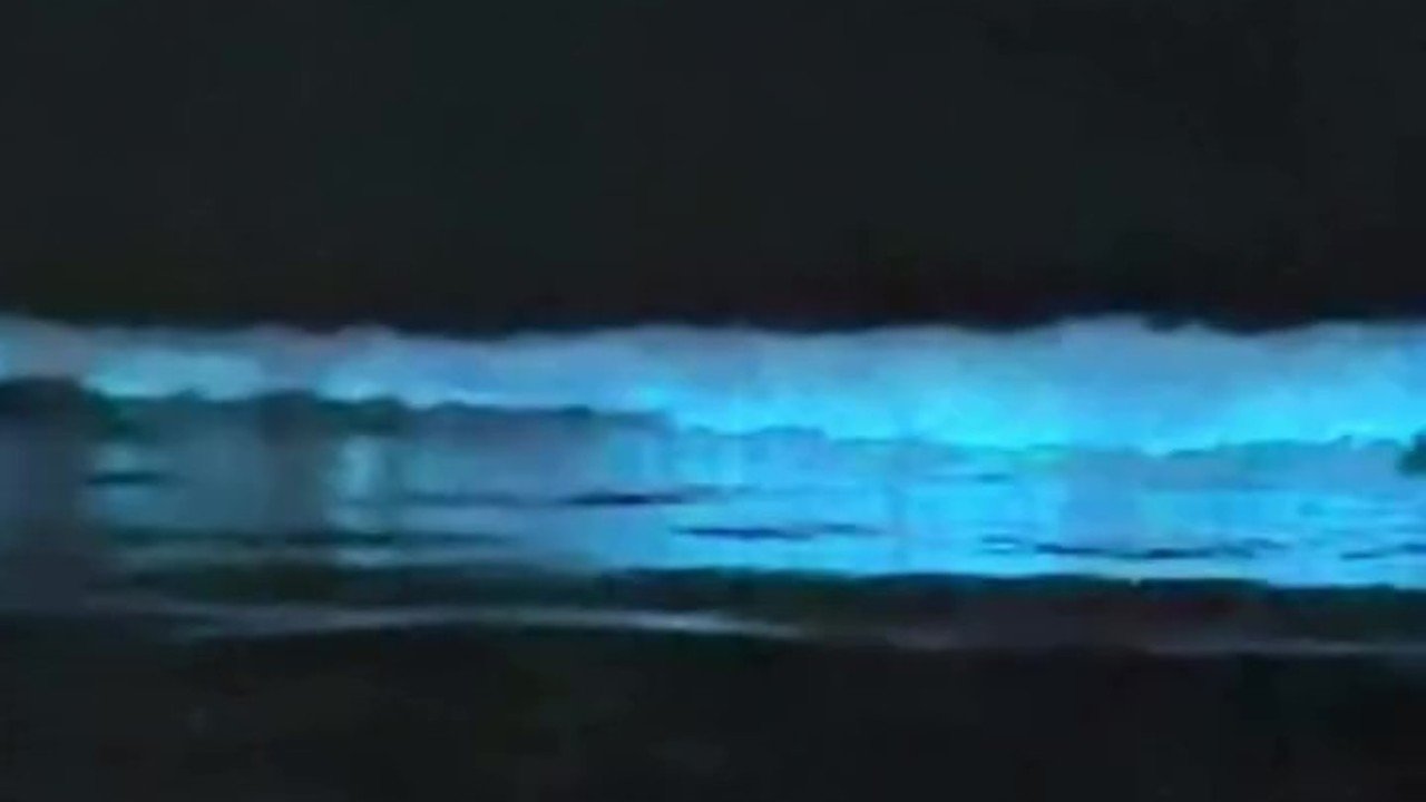 瀬戸朝香 】「見たことのない光景」夜の海の幻想的な光景を投稿 「仕事