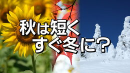 快適な秋は短くすぐ冬に…?今年も「四季」→「二季」か 22日冬の長期予報発表前に予報資料から見える“サイン”とは tbc気象台|TBS NEWS DIG