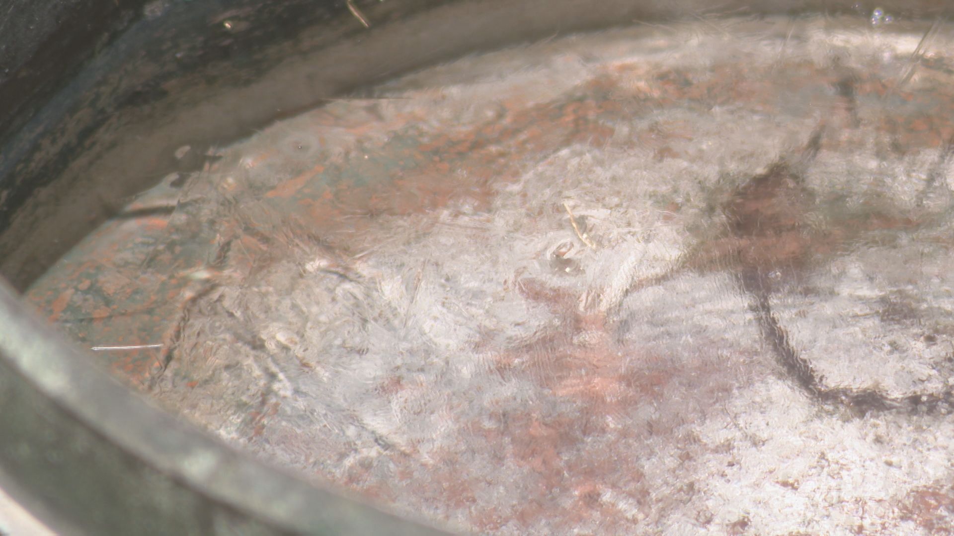 名古屋で初氷　東海地方は各地で今シーズン一番の冷え込み　岐阜県は夕方にかけて山間部を中心に雪や雨に