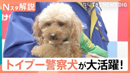 【豪華・大迫力！】警察犬プレート(流通は最後かも？) img_180a0598eca4b58a5f05e612cc