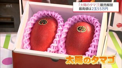 宮崎県産完熟マンゴーの最高級ブランド「太陽のタマゴ」 今季初競りで1