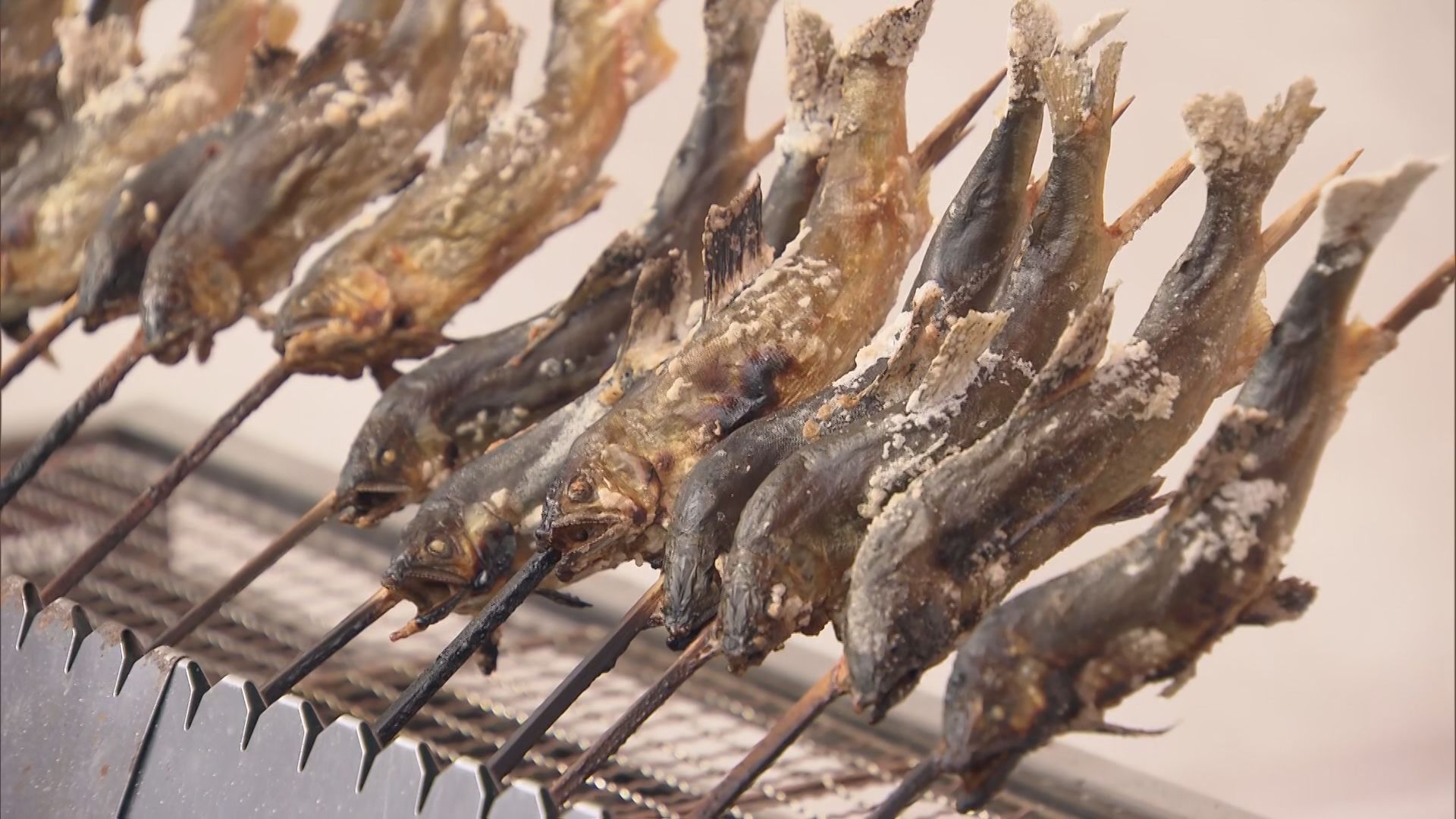 郡上の鮎の塩焼きに大野町の柿…岐阜県の特産物の魅力を知って　岐阜市でイベント