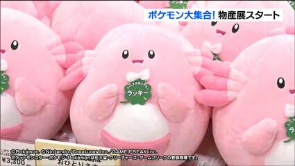 img_1d858b2ad34657b6a85535fb20