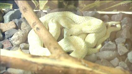 img_1ff2f5f4d66d7b67572edf2511