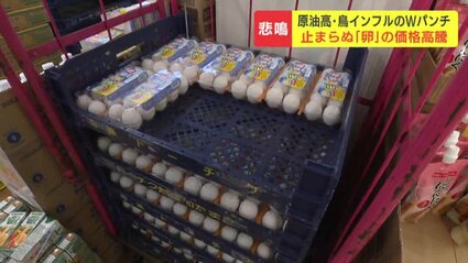 ほぼ卵が命の店なので営業できなくなってしまう」止まらぬ価格高騰に