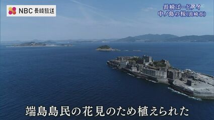 端島（軍艦島）写真集3冊セット➕おまけ本 端島 海に眠るダイヤモンド