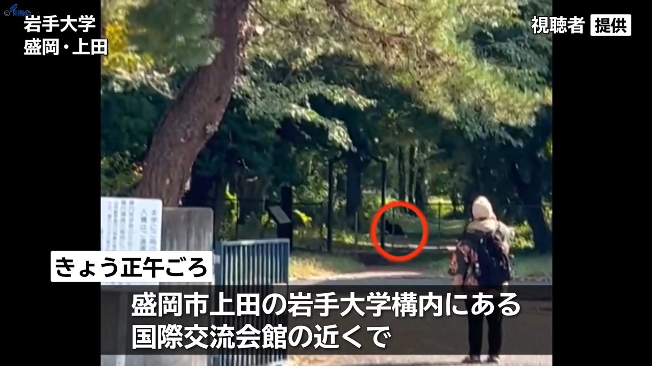 岩手 大学 休講