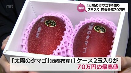 宮崎県産完熟マンゴーの最高級ブランド「太陽のタマゴ」初競り 2玉70万