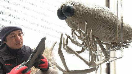 パリシカリス・ナオヤイ」新種の化石に漁師の名前がついて“発掘体験