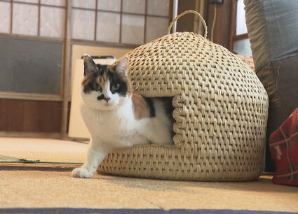 img_26a1b6d4502102e4fa9313b657