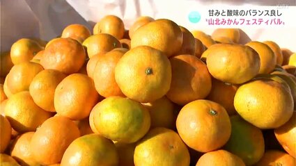 極早生は甘みと酸味のバランス良し！「山北みかんフェスティバル」で