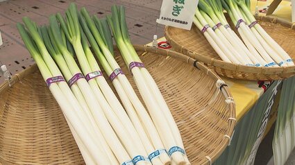 2023年度の農業産出額は1342億円 ネギは101億円、3年間で目標額達成