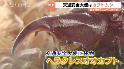 img_2e1ed8511e0800c94ecc3df0b3