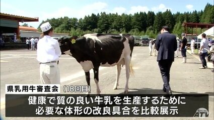 乳用牛の審査会でグランドチャンピオンを決定 青森県七戸町 | 青森の