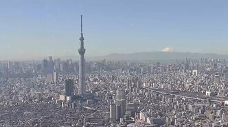 TOPIX見直しで変わる株主構成　個人投資家が機関投資家の売りの受け皿に|TBS NEWS DIG