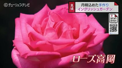 img_30f60ca592cb1487fc4df22a05