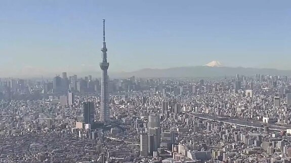 TOPIX見直しで変わる株主構成　個人投資家が機関投資家の売りの受け皿に|TBS NEWS DIG