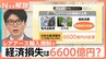 経済損失6600億円試算も 中国“レアアース輸出規制”したら…？専門家が指摘する「中国への跳ね返り」【Nスタ解説】|TBS NEWS DIG