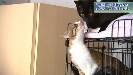岩泉猫商品確認ページ img_317f711ffe764594f718f3c51f