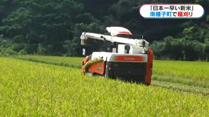 ⭐︎ししまい⭐︎2024年収穫　新米20キロ 日本一早い新米」コシヒカリの収穫始まる 価格は「相当上がっている