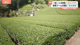“ペットボトルのお茶” 来月値上げ 「お～いお茶」237円に　主な要因は容器代や燃料費の高騰も…世界的な抹茶ブームの陰に弱る現場|TBS NEWS DIG