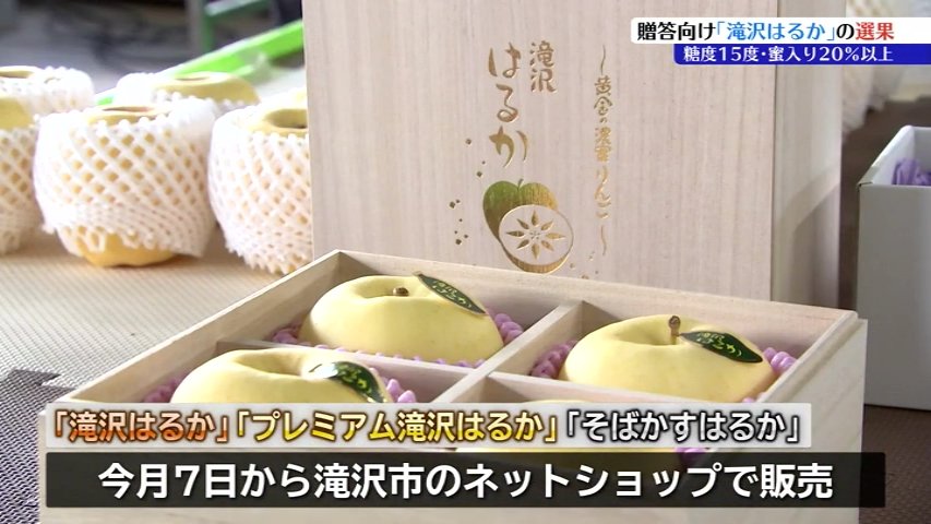 糖度15度以上、蜜入り20%以上の厳選リンゴ「滝沢はるか」 贈答用の選別