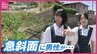 フェンスの奥で震える男性　高さ20ｍの急斜面「なんかヤバい」仲良し女子中学生ペアと近隣住民による真夏の救出劇　広島|TBS NEWS DIG