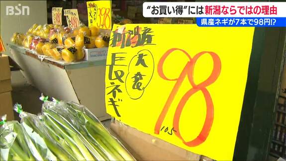 なんと!県産ネギが7本入って98円!!! “安さの秘密”に『新潟ならではの理由』青果店に聞く「今お買い得なお野菜」は?|TBS NEWS DIG