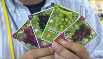 長野県 生坂村 ぶどうカード第2弾コンプリートセット 長野県 生坂村 ぶどう