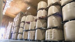 コメが倉庫の天井近くまで山積みに… ｢コメが余って売れない｣ ｢年明け以降は価格下がる｣ 国の政策に振り回されたコメ業界|TBS NEWS DIG