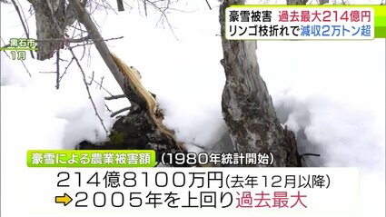 詳報】「額面としては史上最大の被害」冬の“豪雪”による農業被害額は