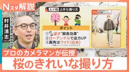 桜をスマホで上手に撮りたい！「曇ると色が…」「良い角度は？」プロが伝授 悩みを解決【Nスタ解説】|TBS NEWS DIG
