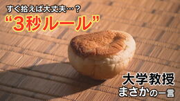 食べ物を床に落としちゃった！一瞬ならOK？“3秒ルール”は真実か　食品衛生の専門家が明かす「秒数よりも重要なこと」とまさかの“本音”|TBS NEWS DIG