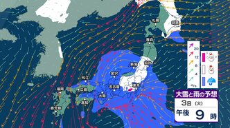 【今後の雨と雪は？】関東甲信や東北太平洋側で大雪となる所も　関東南部の平地でも24時間降雪量1cm予想　週末も全雨風強まる？【3時間ごとの雨雪シミュレーション・2日午後10時更新】|TBS NEWS DIG