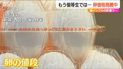 クロチョウ養殖真珠 中古品 値引 OFF img_43ae1b050c843825b9c0971b32