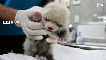 img_440fdb86af12509735a68a027d