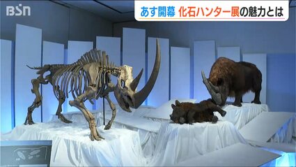 ハンター展 E380-5091-1024x683.jpg