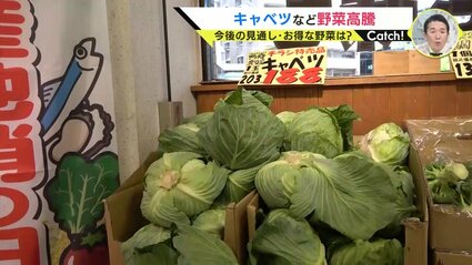 img_468915117425cd09bffbccc1dc